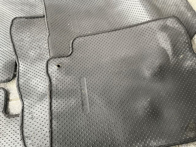 OEM Used Altezza Floor Mats