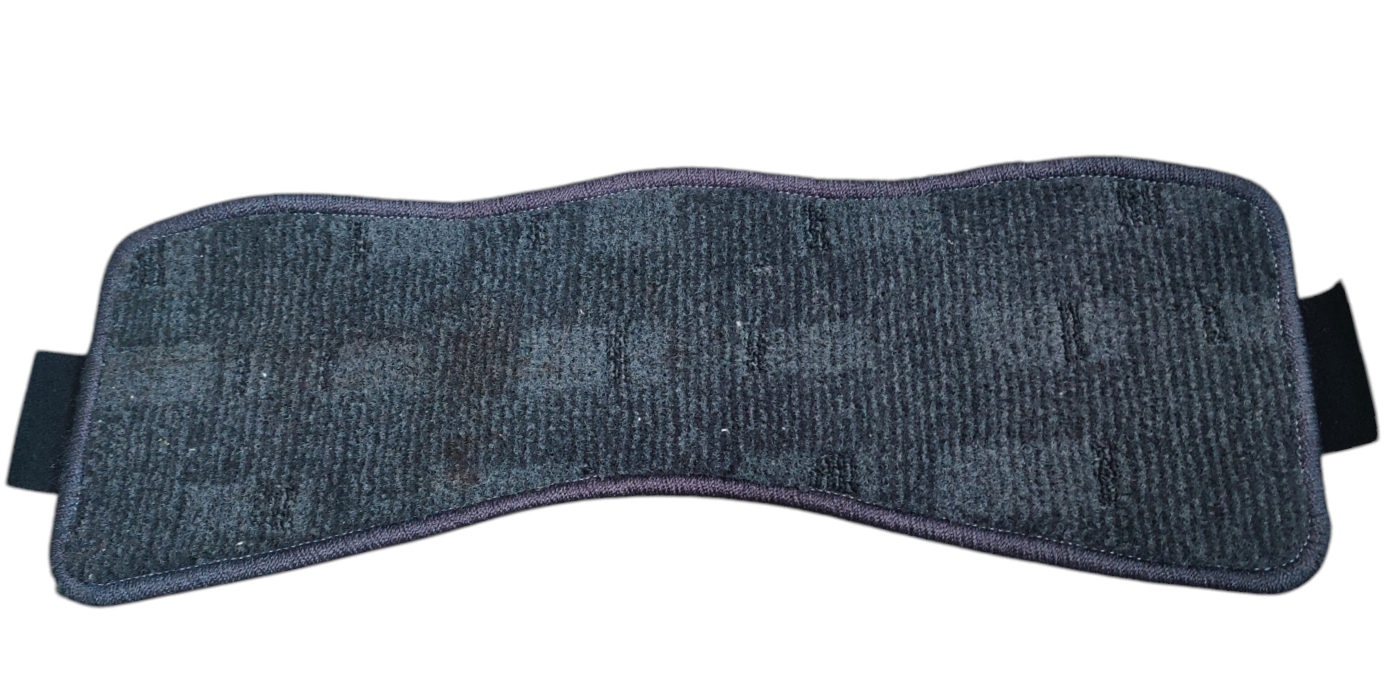 Full set of OEM Used Altezza Floor Mats