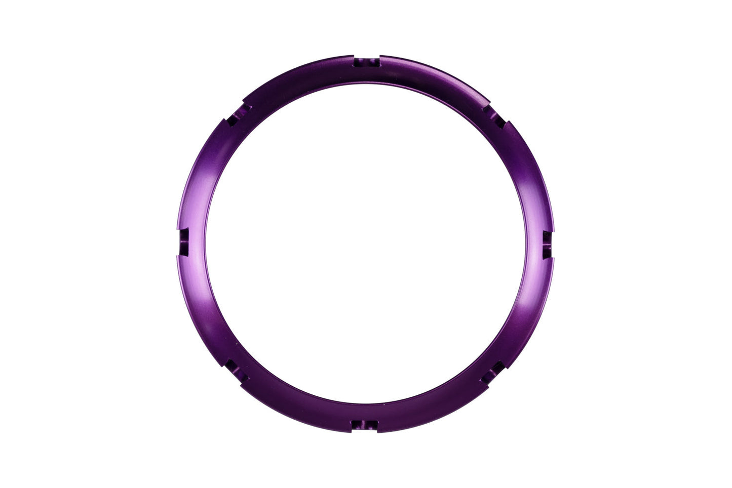 BOV PowerPort Collar Purple - JDM GOODNESS