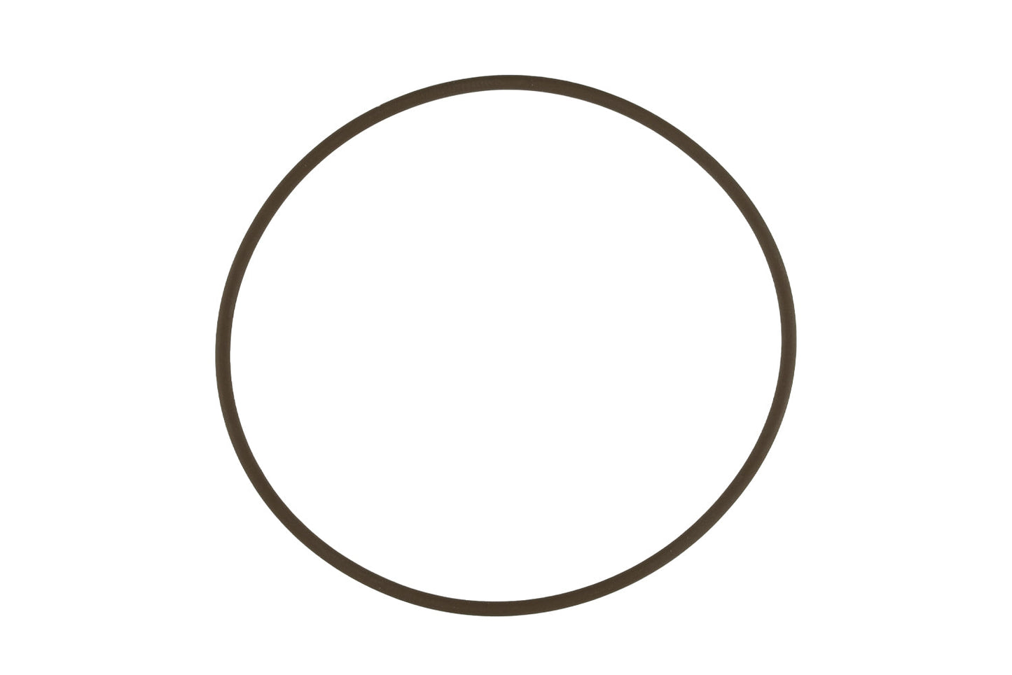 WG45/50 Actuator Cap O-Ring