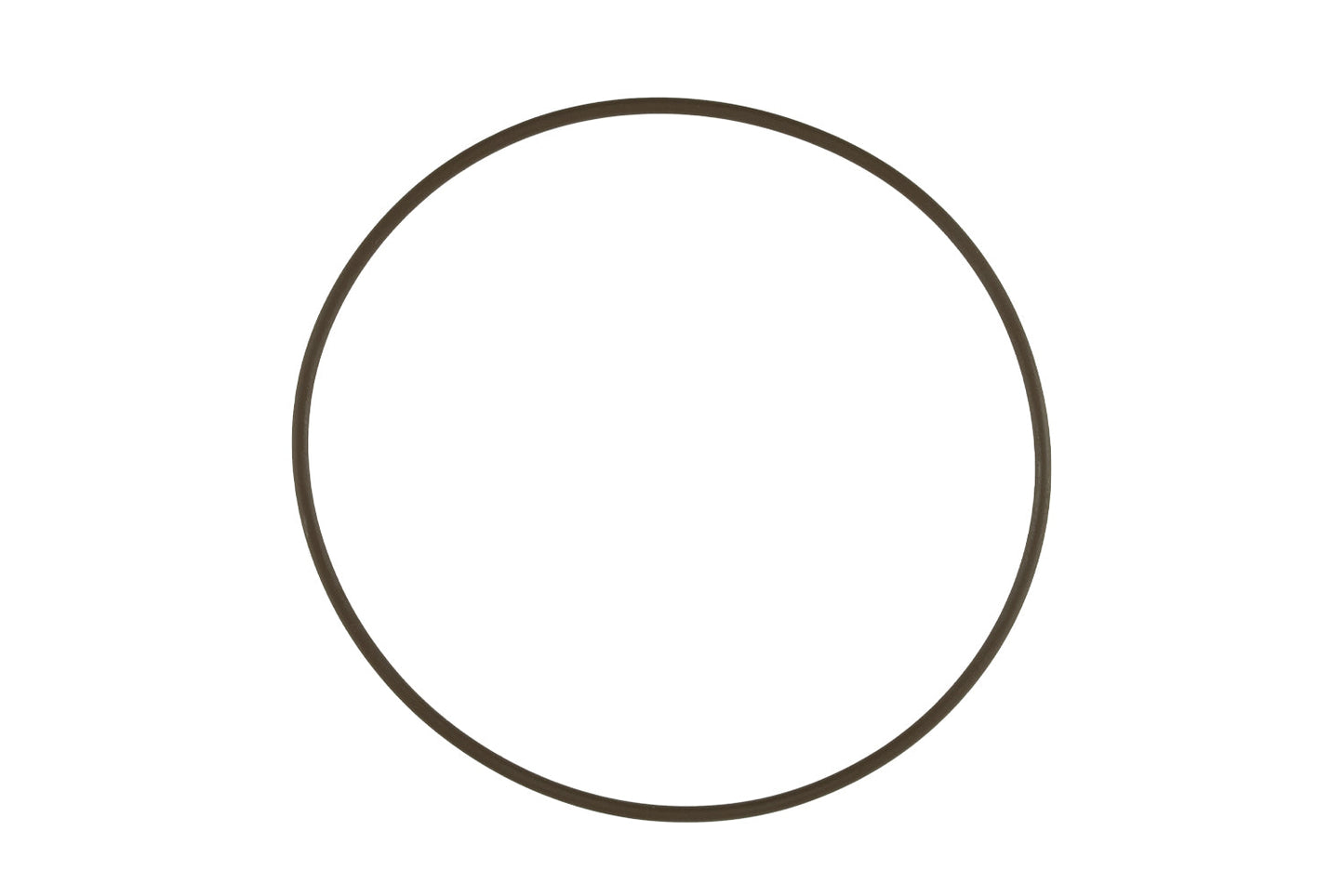WG60 Actuator Cap O-Ring
