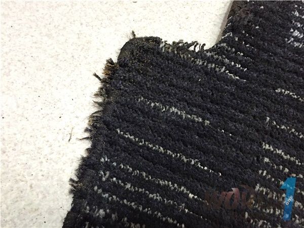 SXE10 Altezza RS200 Z Edition Genuine Floor Mats