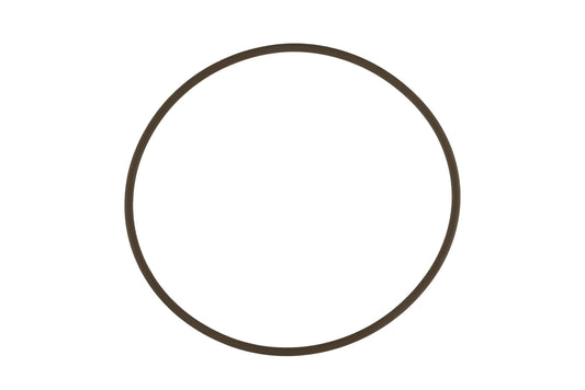 WG45/50 Actuator Cap O-Ring