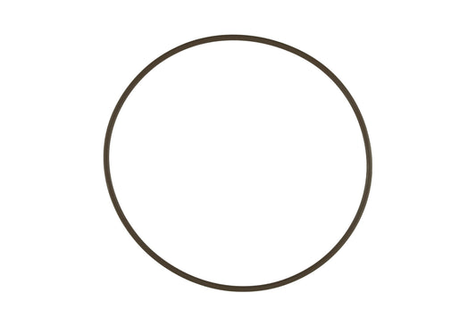 WG60 Actuator Cap O-Ring